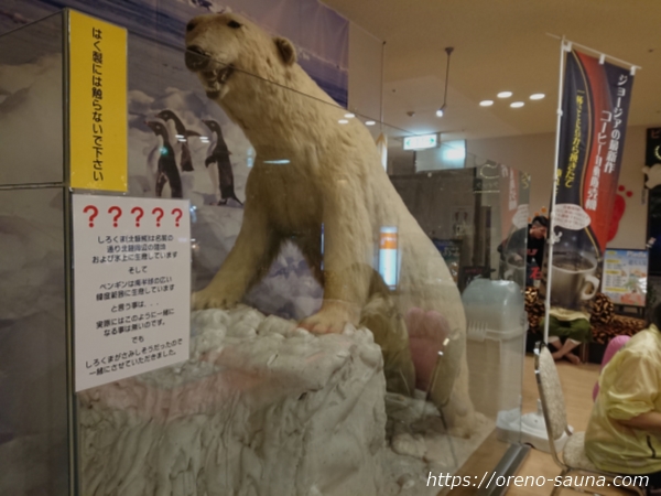 石川県金沢市「テルメ金沢」白熊のはく製画像